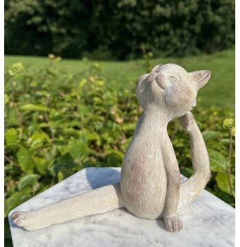 Yoga Kat Yoga Figur Godkarmashop - Boltze Happypet